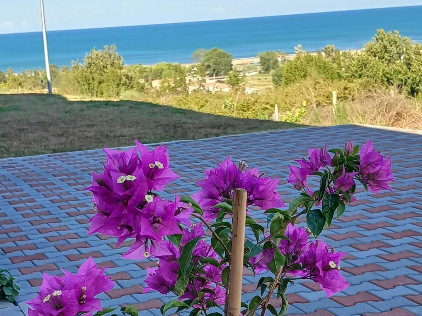 Sol Apartments Gjiri Lalzit Драч Екстериор снимка